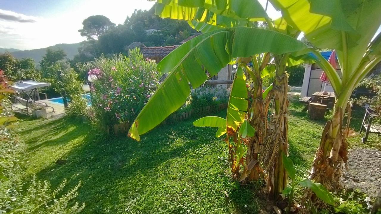 Alojamento De Crasto - Geres Exterior foto